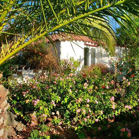 Finca Cosmos Эль-Пасо Экстерьер фото