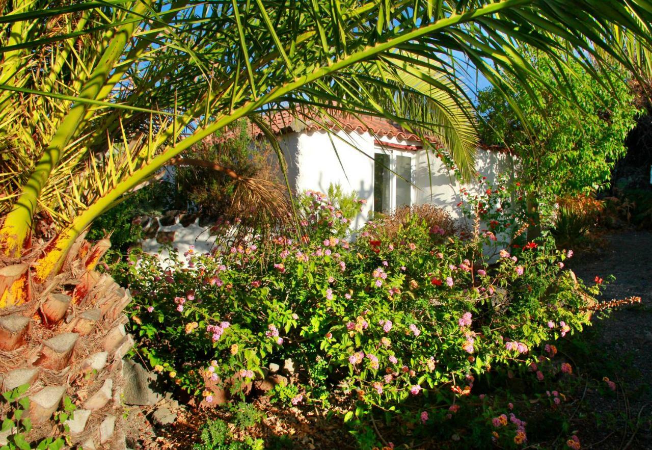 Finca Cosmos Эль-Пасо Экстерьер фото